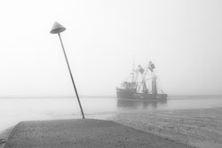 DSC_0010MarkTaylor.jpg
