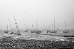 DSC_0028-EditMarkTaylor.jpg