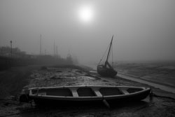 DSC_6651.jpg