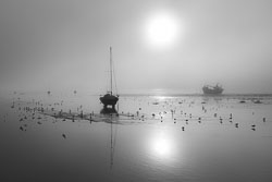 Misty-dawn.jpg