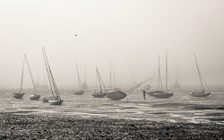 Misty-masts.jpg